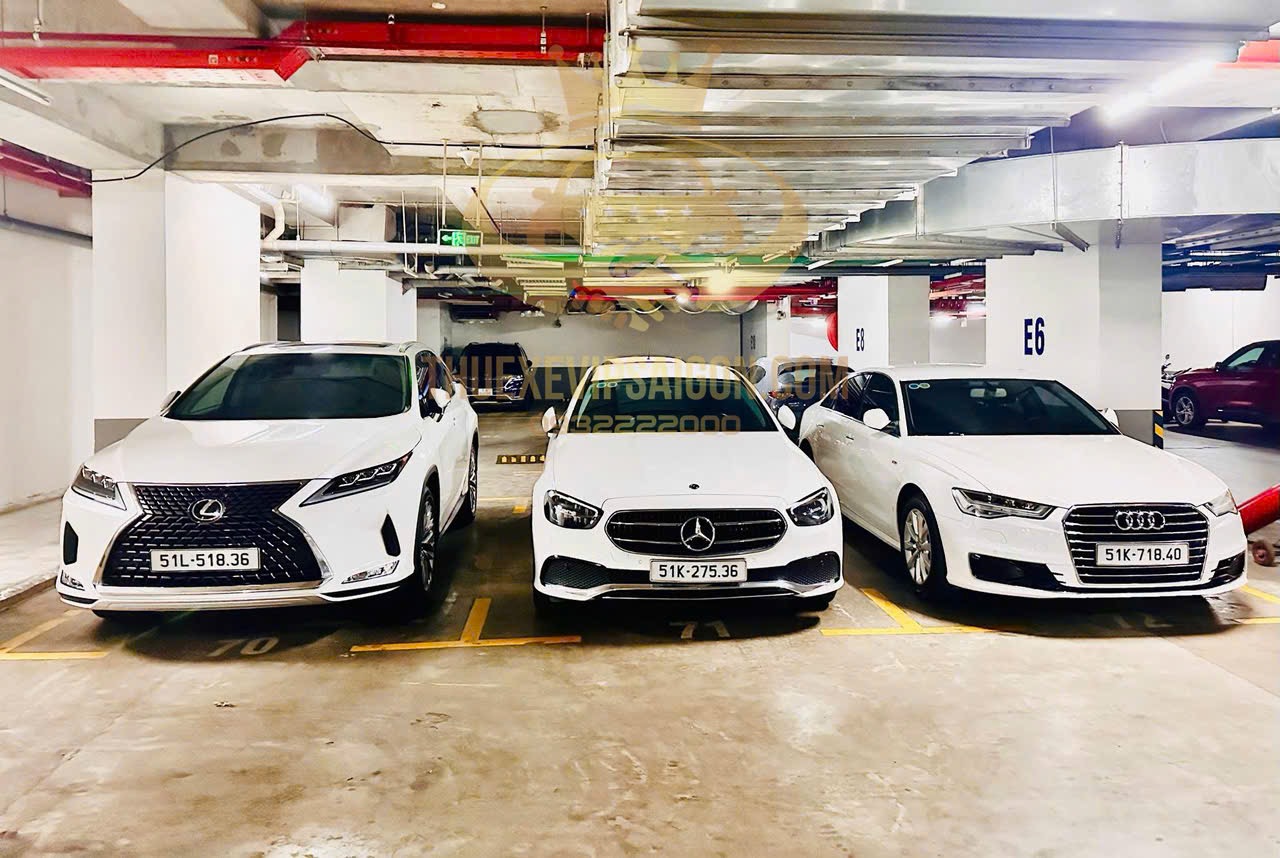 Tập đoàn Bảo Dương cho thuê xe cưới ngày 27/6/2025